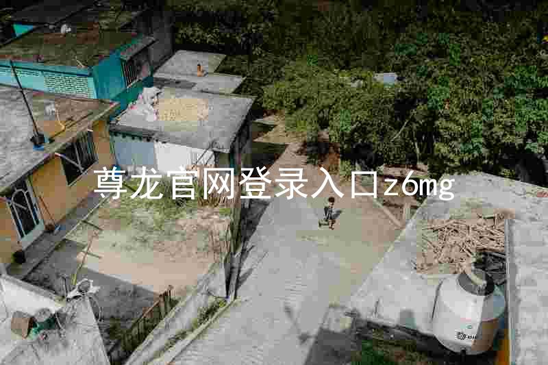 尊龙官网登录入口z6mg