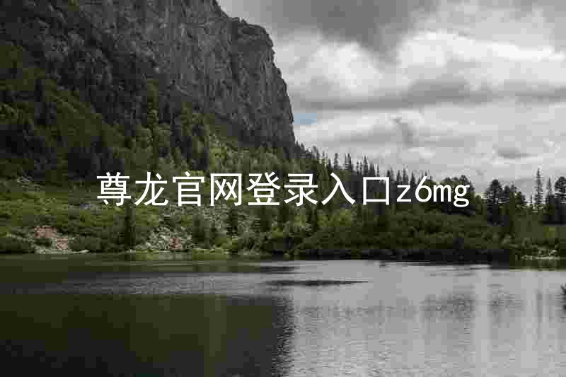 尊龙官网登录入口z6mg