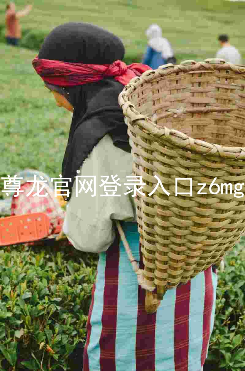 尊龙官网登录入口z6mg