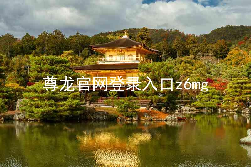 尊龙官网登录入口z6mg
