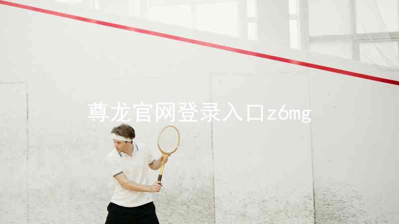 尊龙官网登录入口z6mg